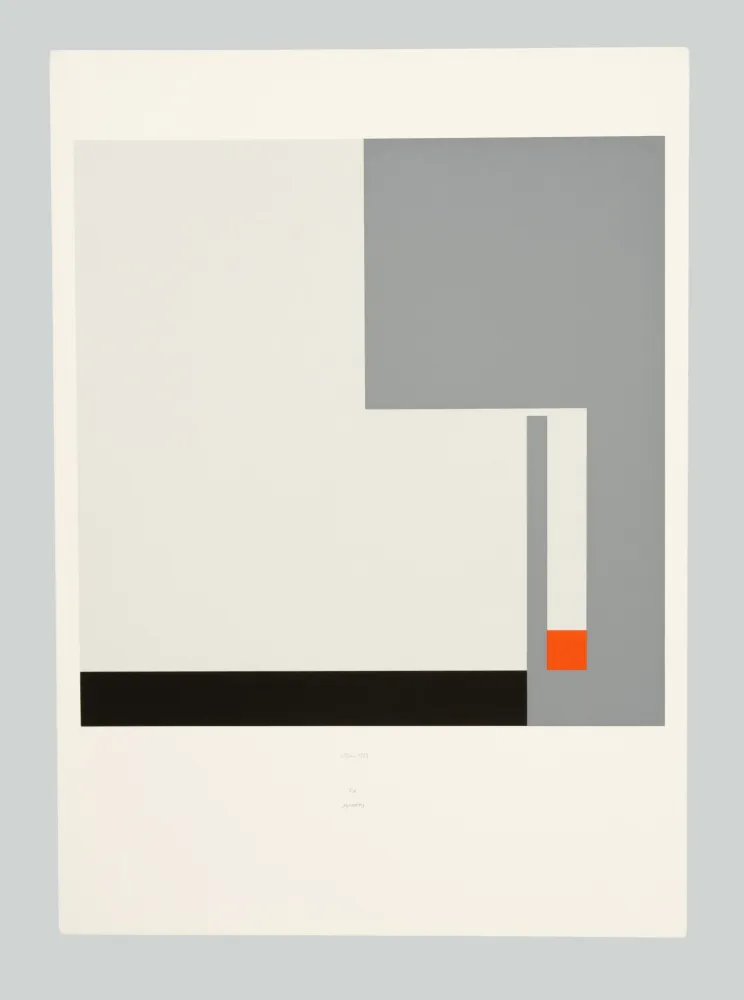 Zeefdruk Munari - Positivo negativo