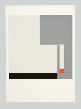 Zeefdruk Munari - Positivo negativo