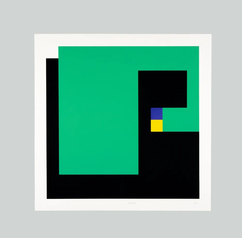 Zeefdruk Munari - Positivo negativo