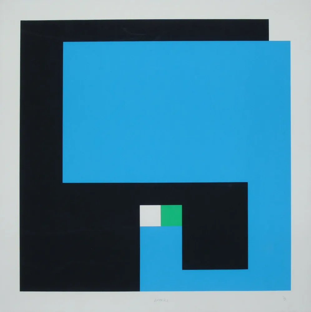 Zeefdruk Munari - Positivo Negativo