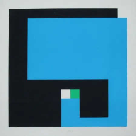 Zeefdruk Munari - Positivo Negativo