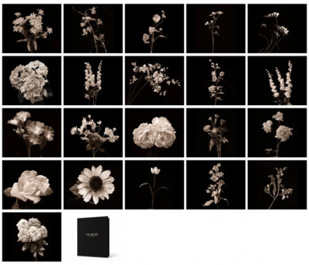 Fotografie Muniz - Portfolio