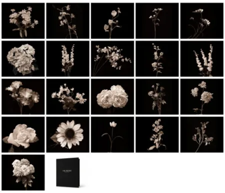 Fotografie Muniz - Portfolio
