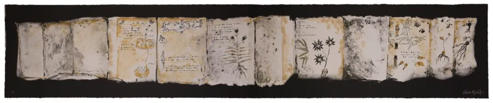 Multiple Muñoz - Manuscrit III