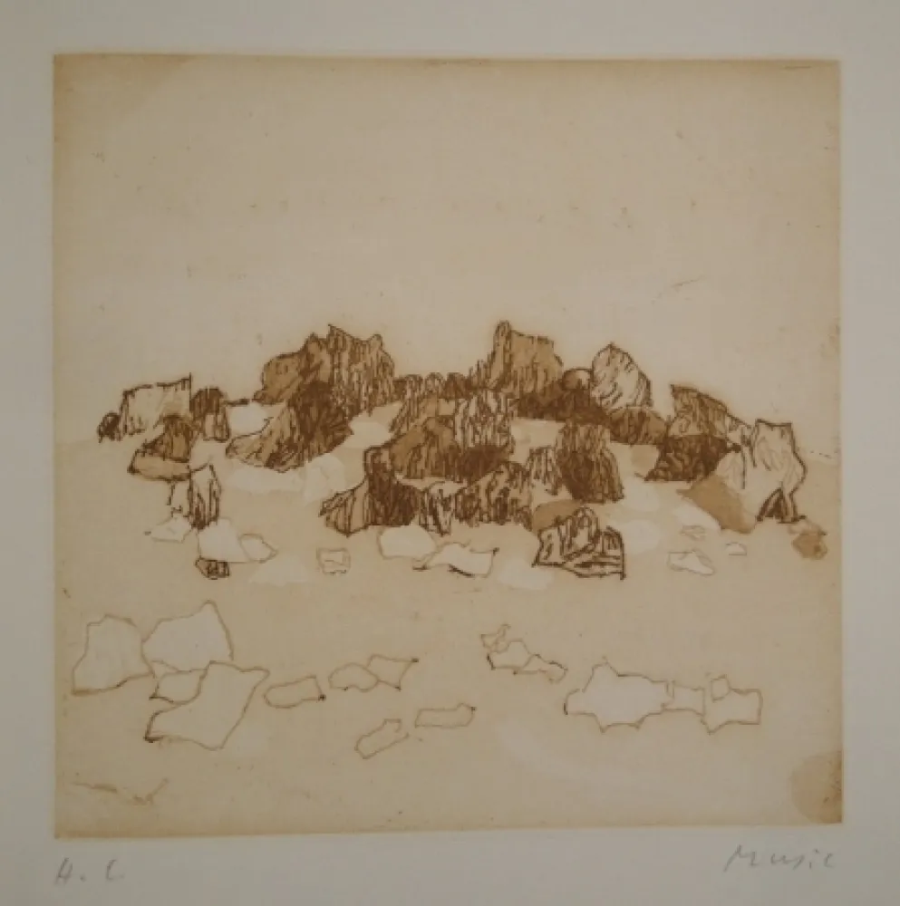 Geïllustreerd Boek Music - Approches