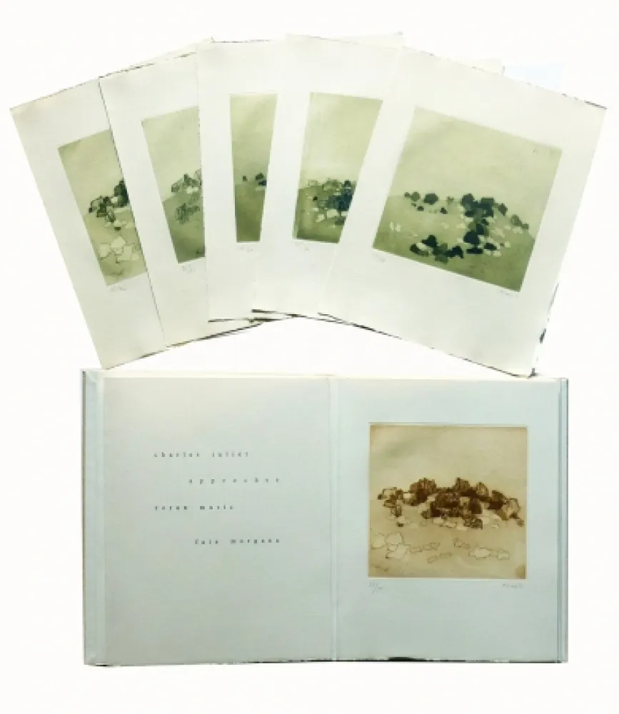 Geïllustreerd Boek Music - Approches