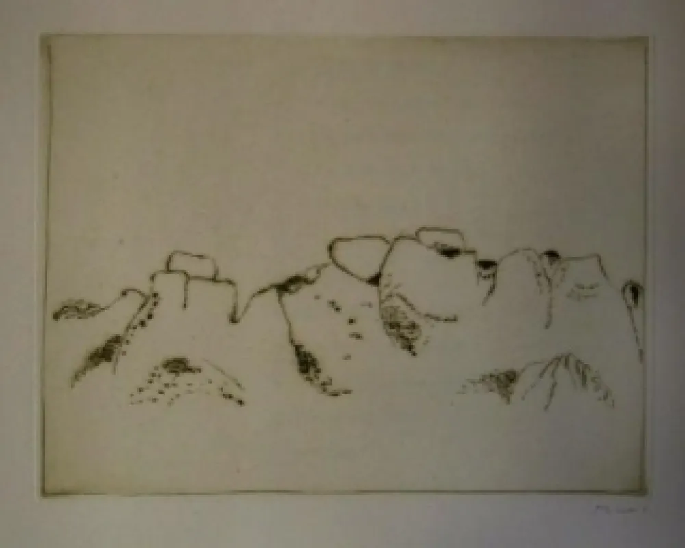 Geïllustreerd Boek Music - Jardins déserts peut-être