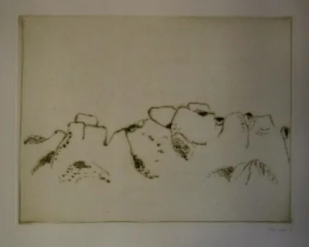 Geïllustreerd Boek Music - Jardins déserts peut-être