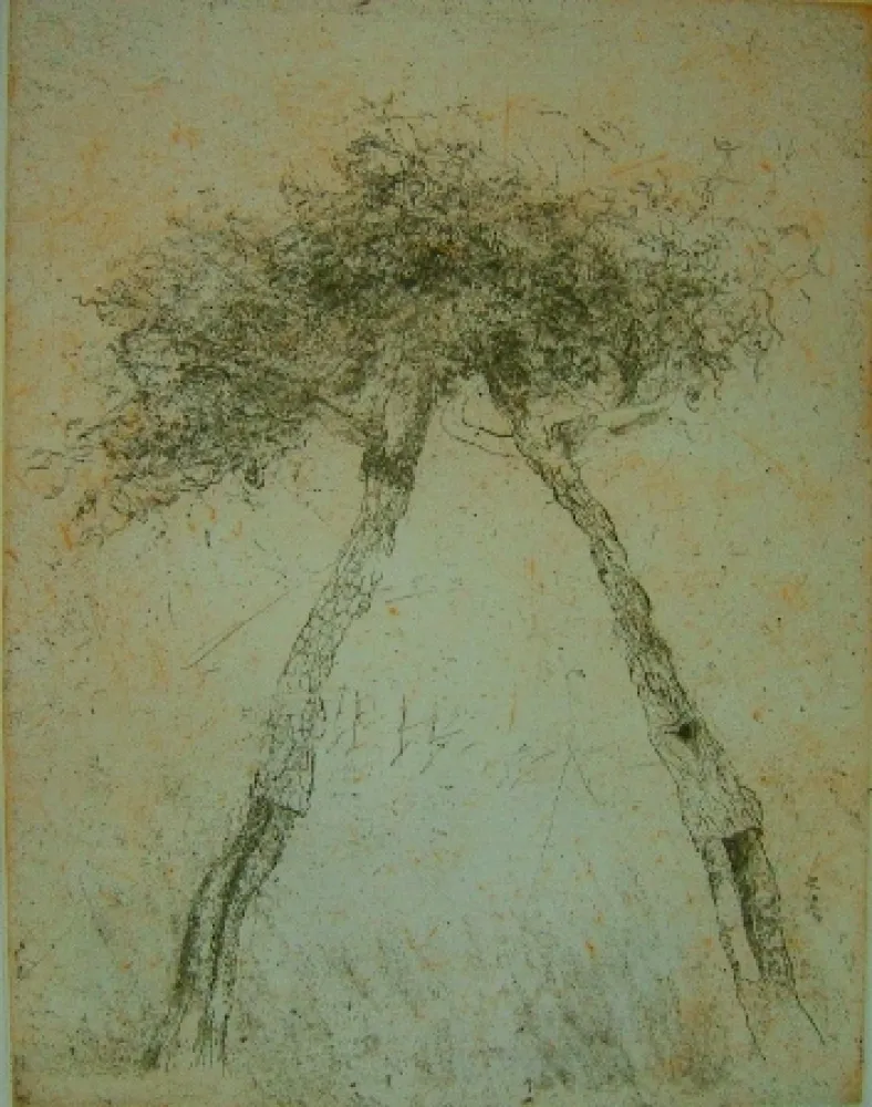 Aquatint Music - Motif vegetal