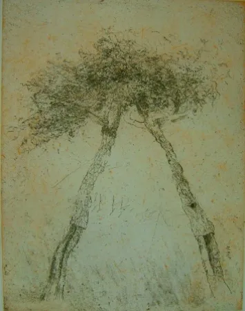 Aquatint Music - Motif vegetal