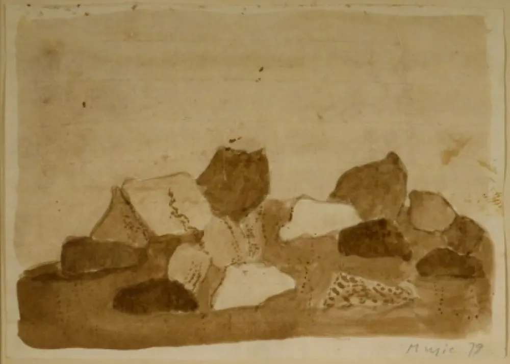 Geen Techniek Music - Paysage Dalmate - Rocheux