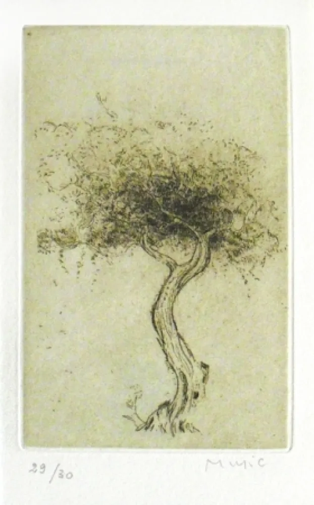 Geïllustreerd Boek Music - Prières