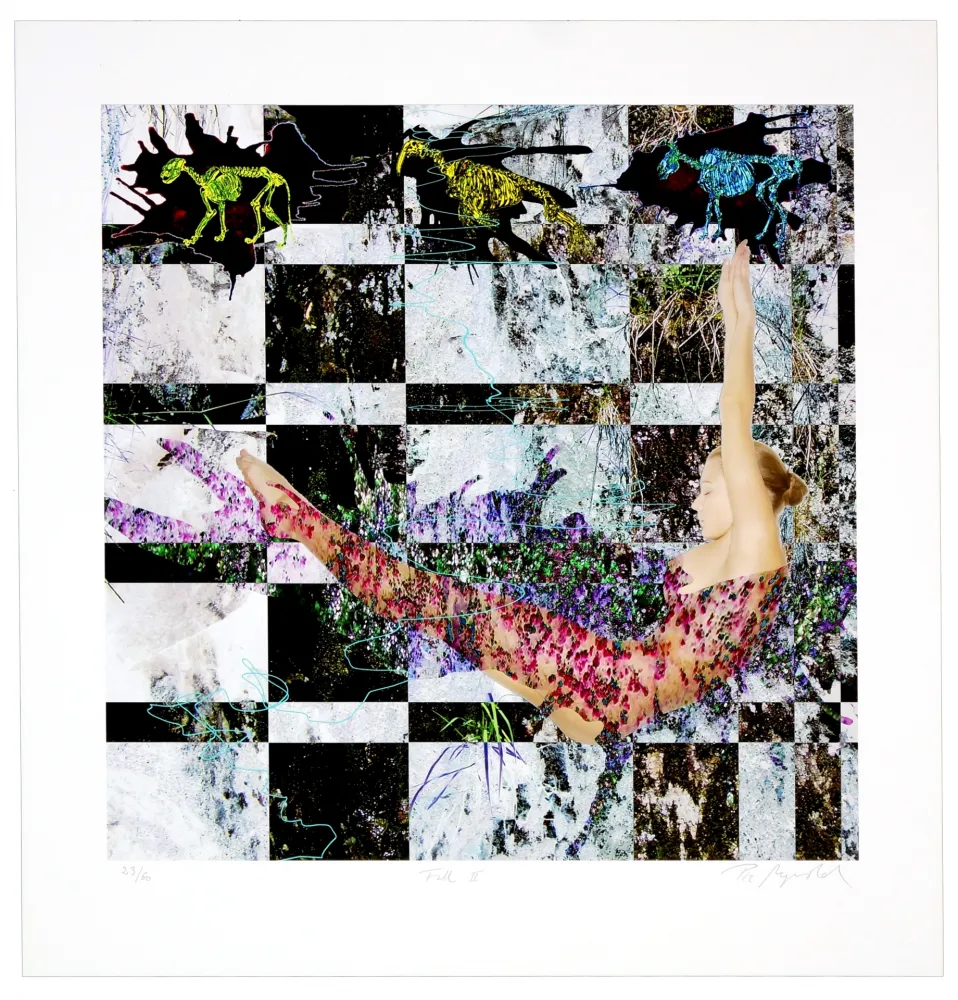 Digitale Print Myrvold - Fall II