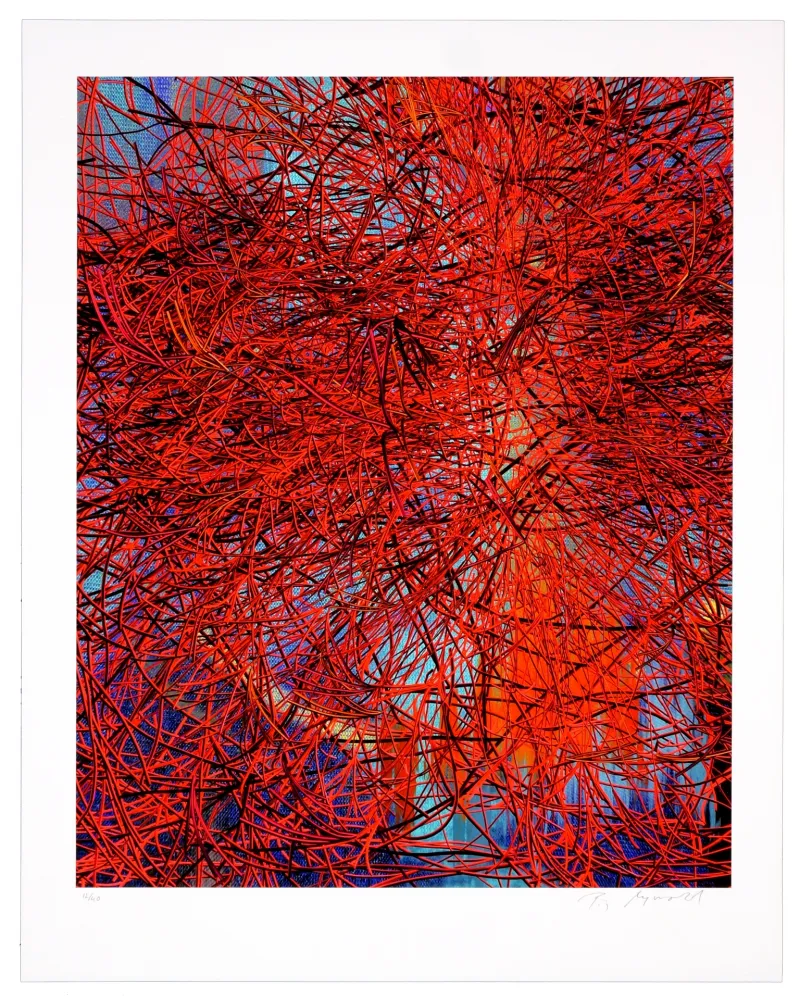 Digitale Print Myrvold - Red Wires in Sunset