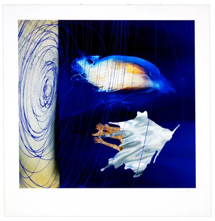 Digitale Print Myrvold - Water dream