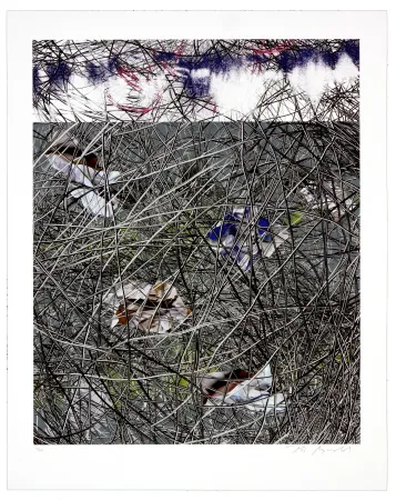 Lithografie Myrvold - Winter Clouds II