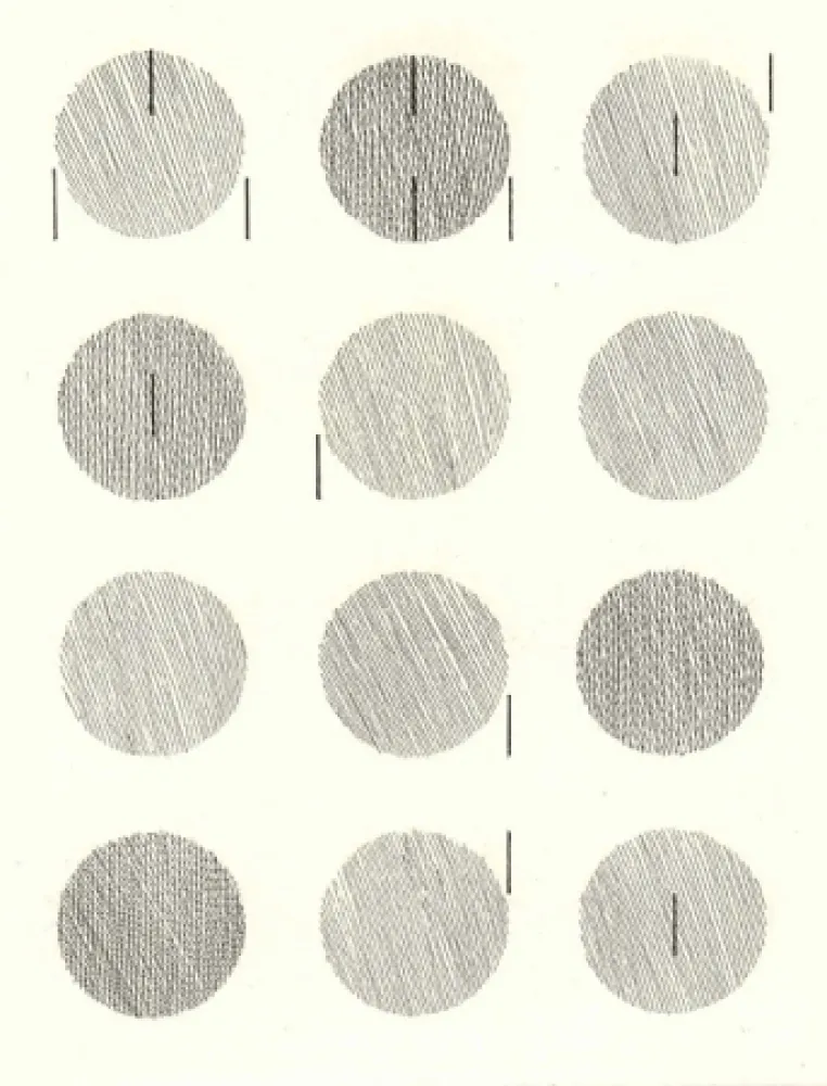 Geïllustreerd Boek Nangeroni - Sei poesie per un romanzo