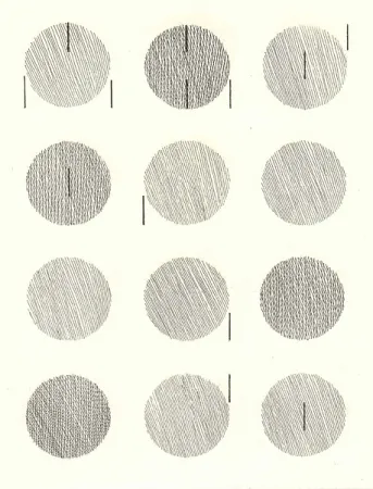 Geïllustreerd Boek Nangeroni - Sei poesie per un romanzo