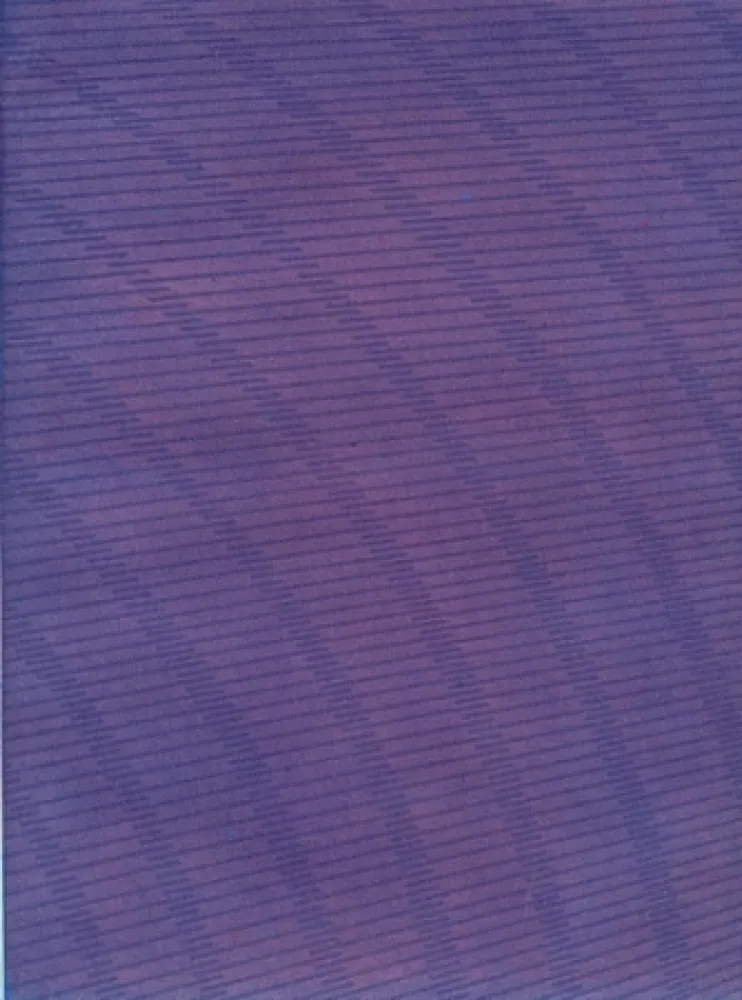 Geïllustreerd Boek Napoleone - Rimanenze