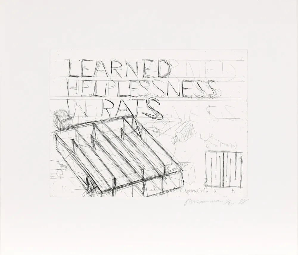 Ets Nauman - Learned Helplessness from Rats