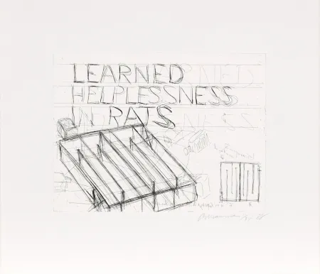Ets Nauman - Learned Helplessness from Rats