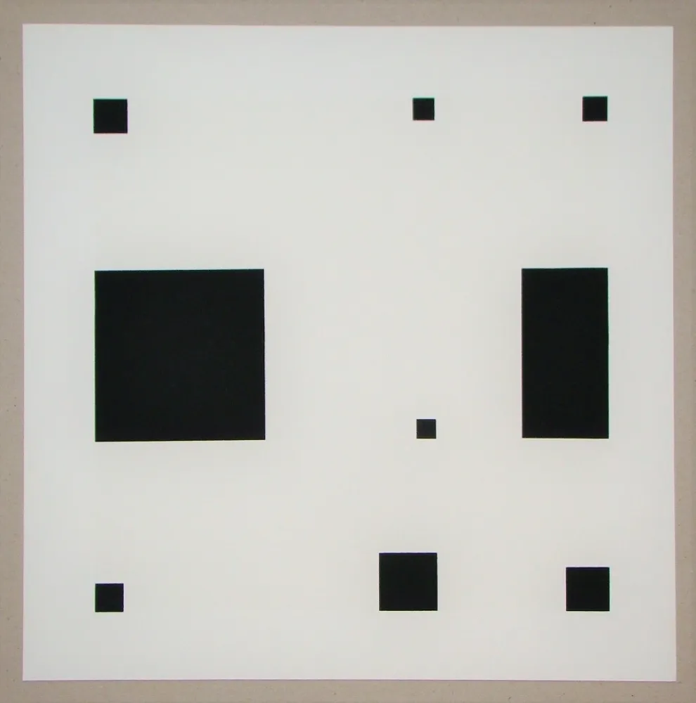 Zeefdruk Nemours - Noir demi rose II