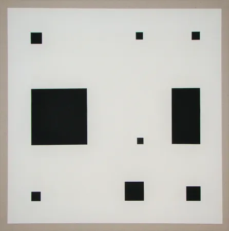 Zeefdruk Nemours - Noir demi rose II