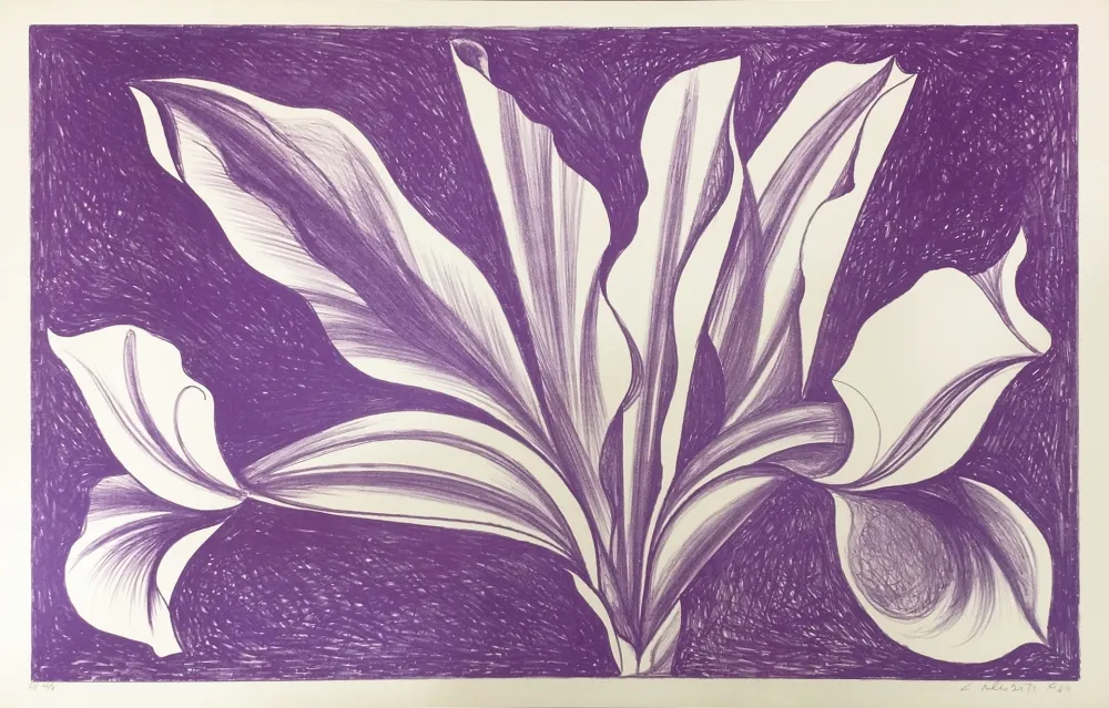 Reliëf Nesbitt - IRIS