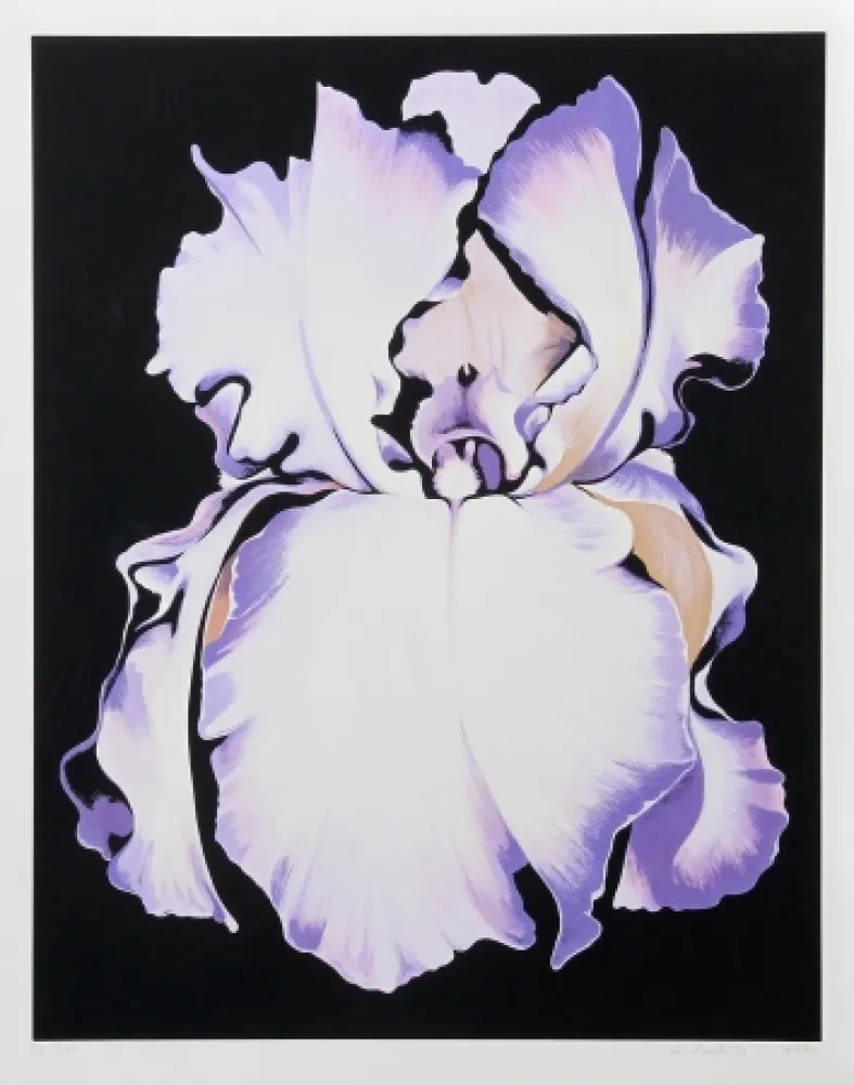 Zeefdruk Nesbitt - White Iris on Black