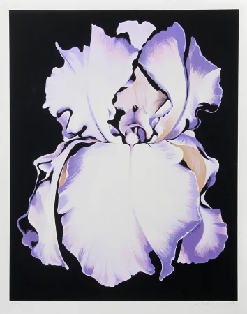 Zeefdruk Nesbitt - White Iris on Black