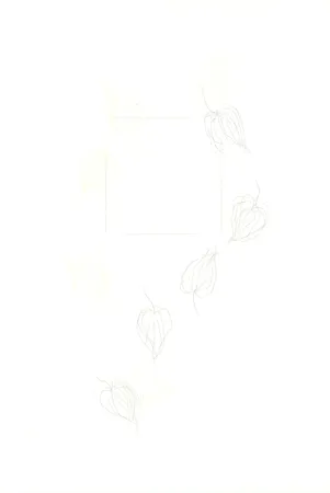 Gravure Nishikawa - Physalis