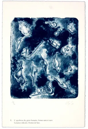 Lithografie Nørgaard - E. L'apothéose des gènes humains, formes rares et races humaines ridicules. Forme de base.