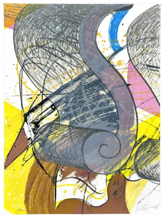 Lithografie Nørgard - 12