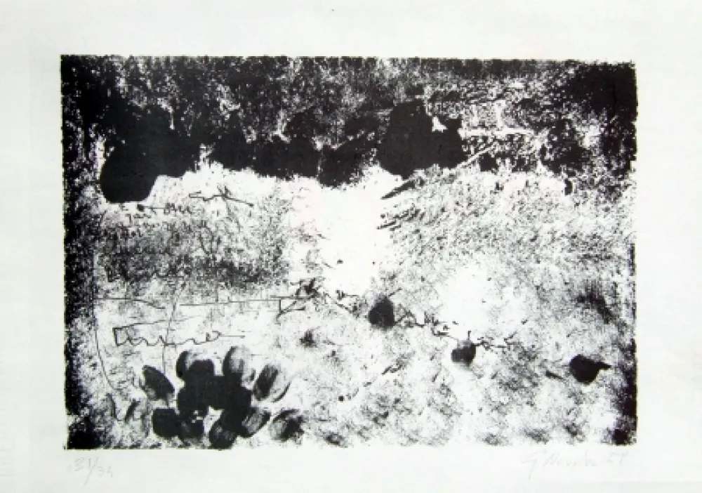 Lithografie Novelli - Senza titolo