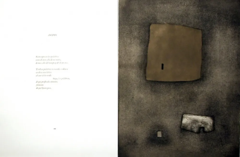 Geïllustreerd Boek Nóvoa - Alén