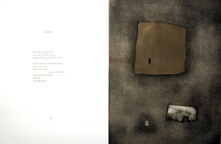 Geïllustreerd Boek Nóvoa - Alén