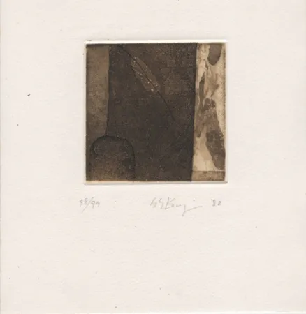 Geïllustreerd Boek Ochiai - Haiku