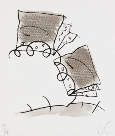 Lithografie Oldenburg - Notebook Torn in Half