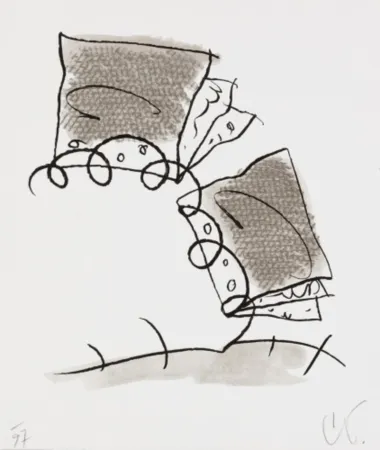 Lithografie Oldenburg - Notebook Torn in Half