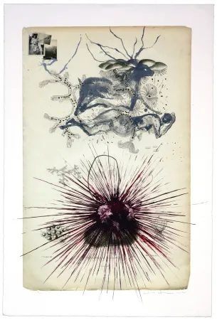 Lithografie Olguin - Sans titre