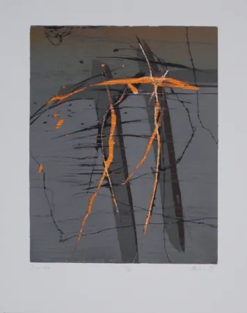 Houtsnede Olschewski - Xantho