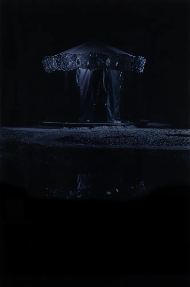 Digitale Print Op De Beeck - Merry-go-round