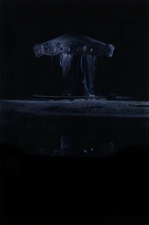 Digitale Print Op De Beeck - Merry-go-round