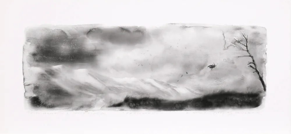 Digitale Print Op De Beeck - Panorama 2