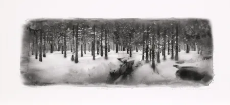 Digitale Print Op De Beeck - Panorama 3