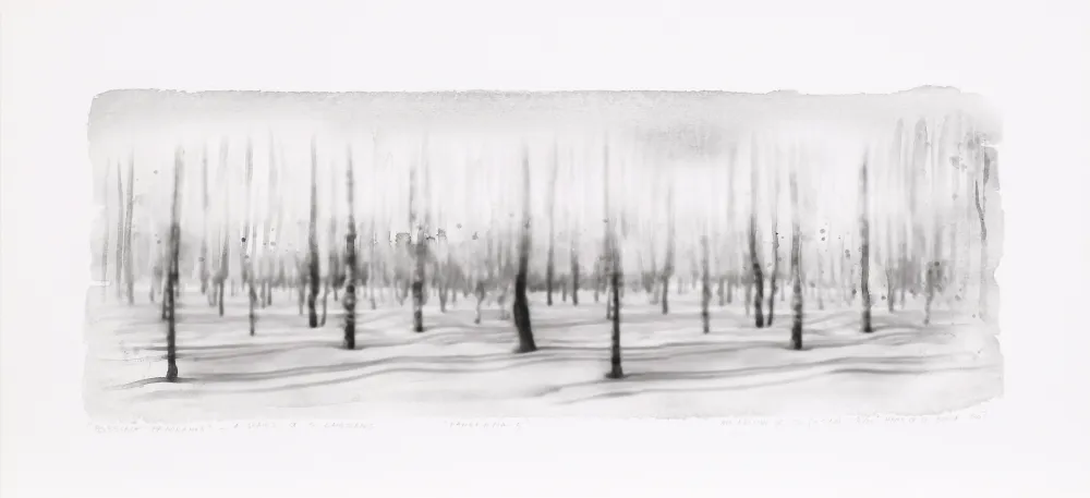 Digitale Print Op De Beeck - Panorama 5