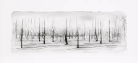 Digitale Print Op De Beeck - Panorama 5