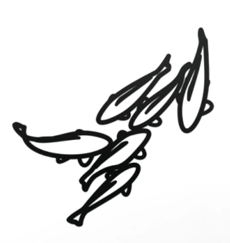 Geen Techniek Opie - Carp 1, from Nature 1 Series