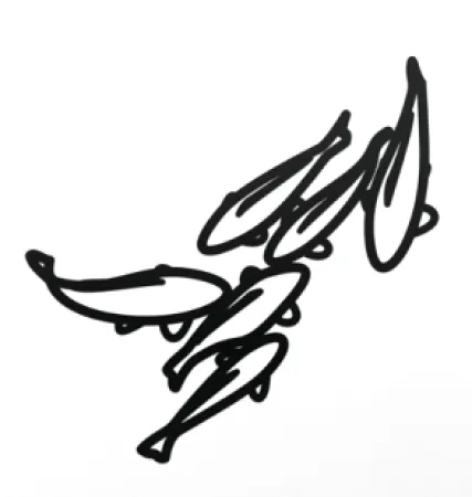 Geen Techniek Opie - Carp 1, from Nature 1 Series