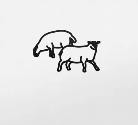 Geen Techniek Opie - Sheep 2, from Nature 1 Series